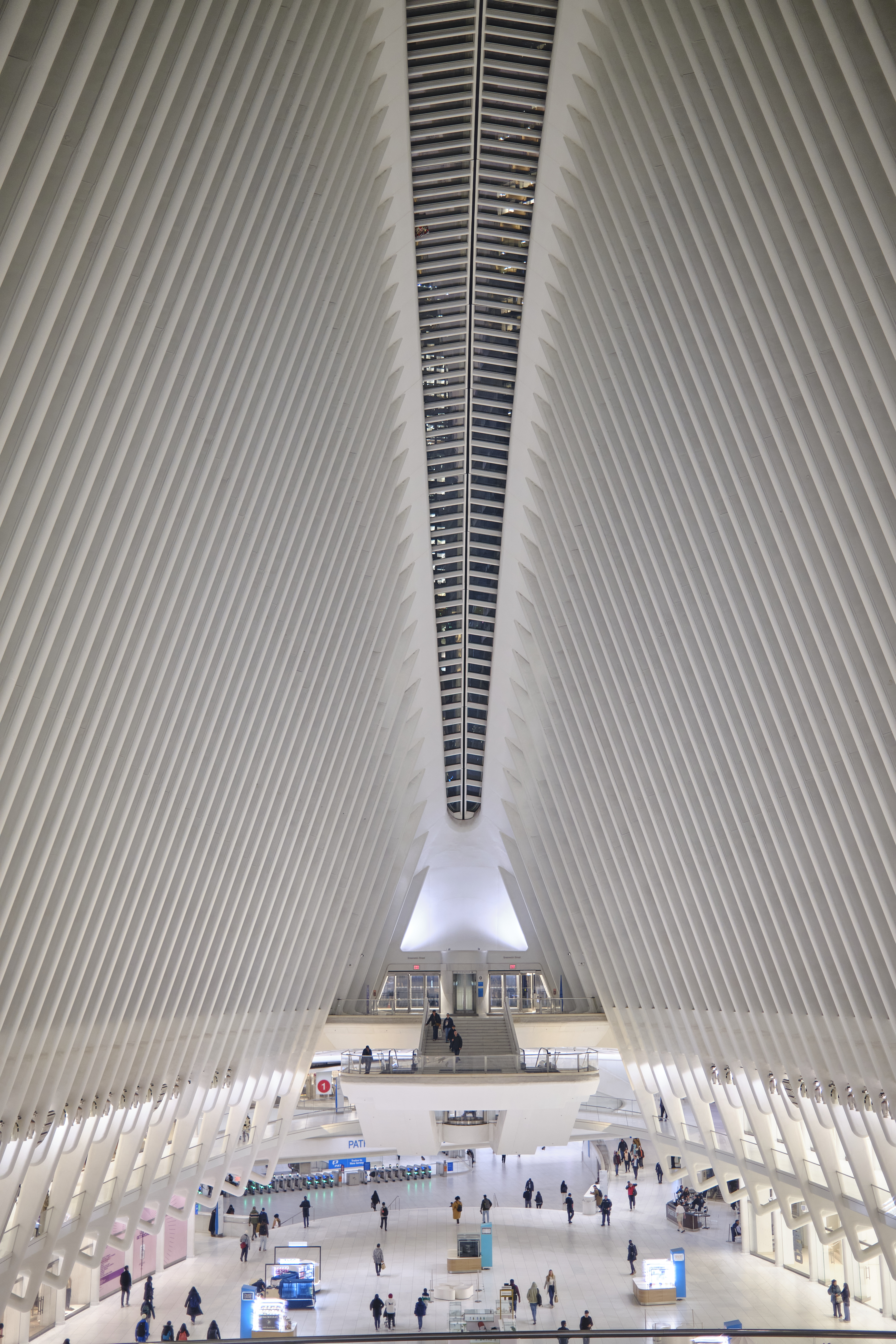 The Oculus